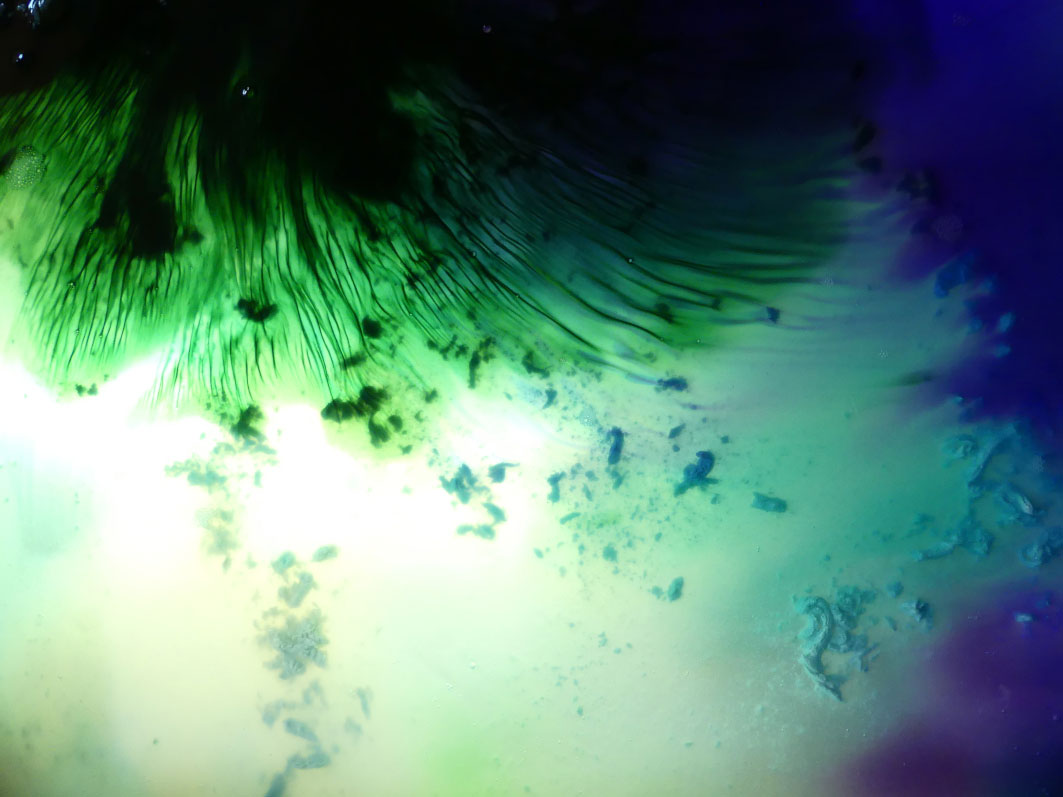atelier-metamorphoz-4